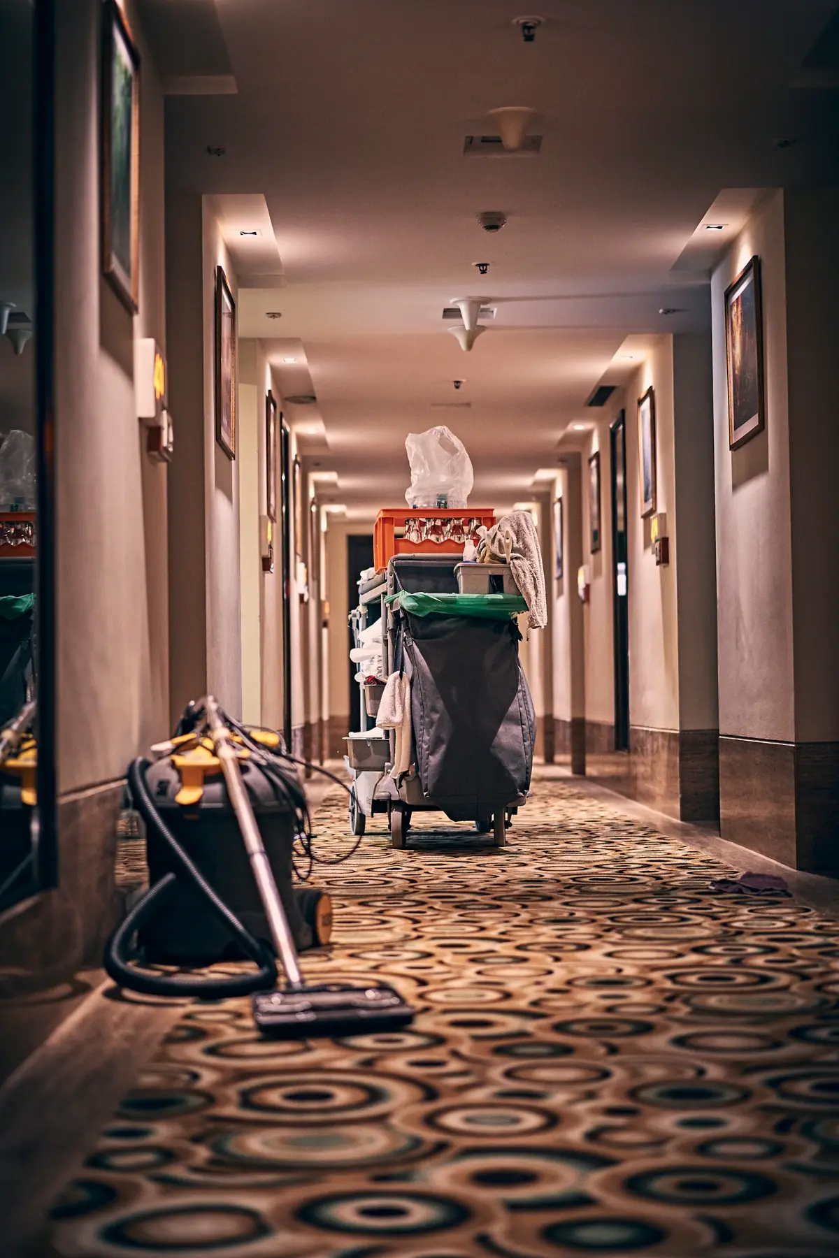 Professional cleaning cart and equipment in a hotel hallway